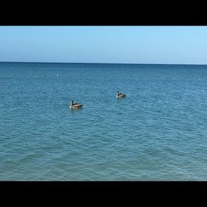 Meet your Posher, Irina